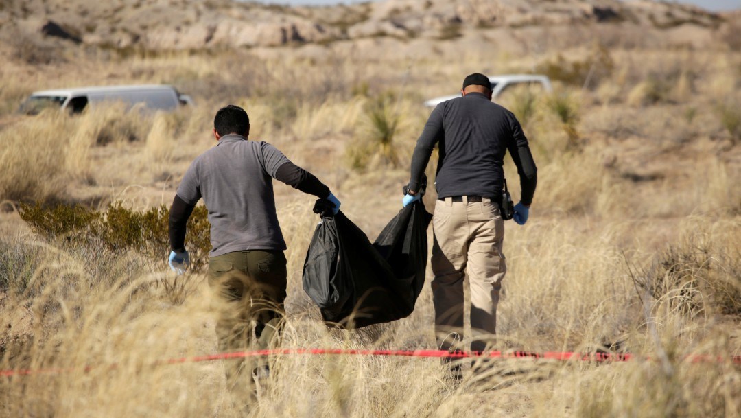 Más de 204 cuerpos fueron encontrados en fosas clandestinas en Guanajuato