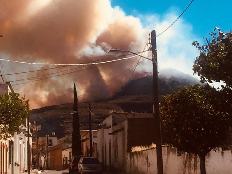 Se incendia Cerro del Teúl y parte de la Zona Arqueológica
