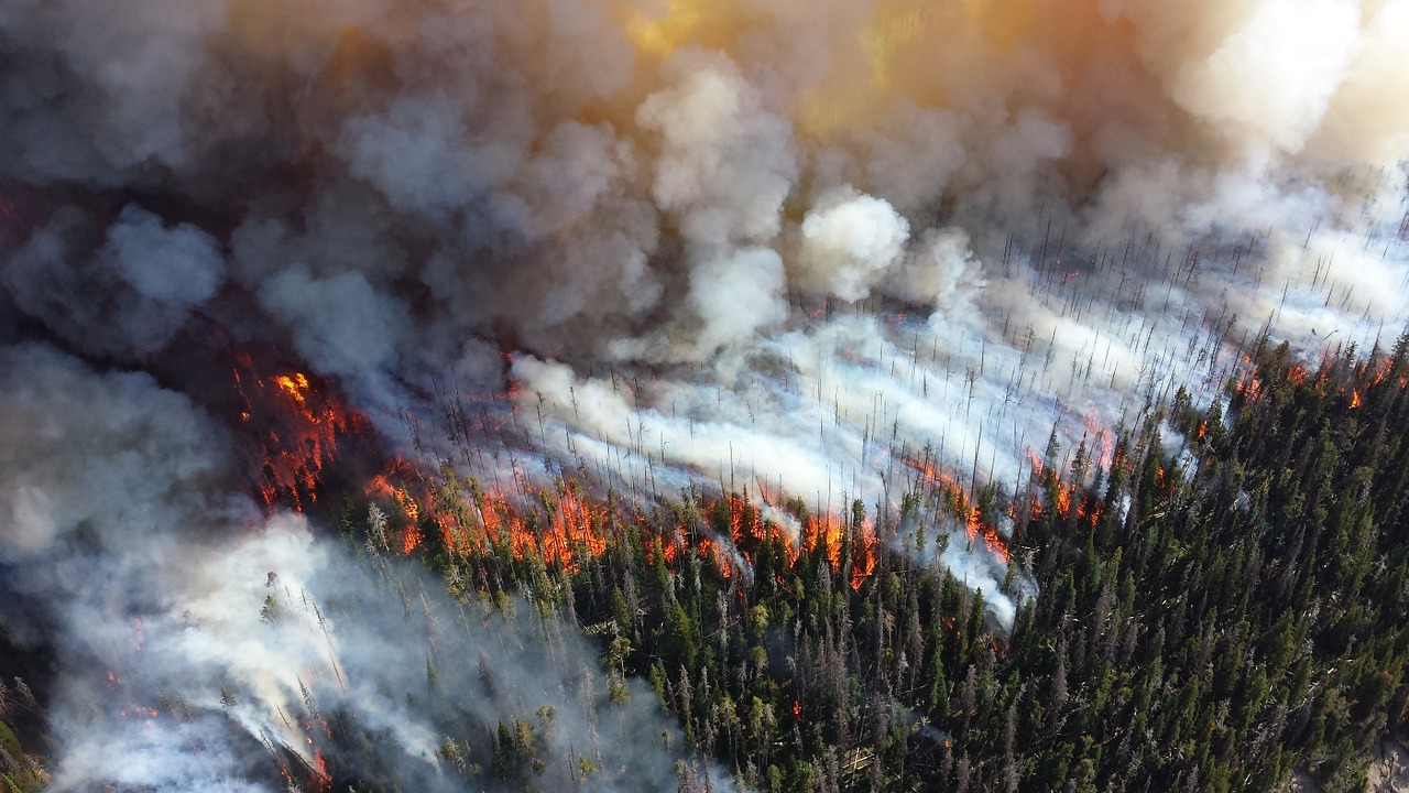 Conafor reporta 52 incendios forestales activos en 17 estados