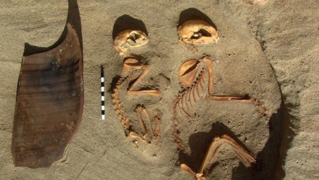 Encuentran en Egipto el cementerio de mascotas más antiguo del mundo