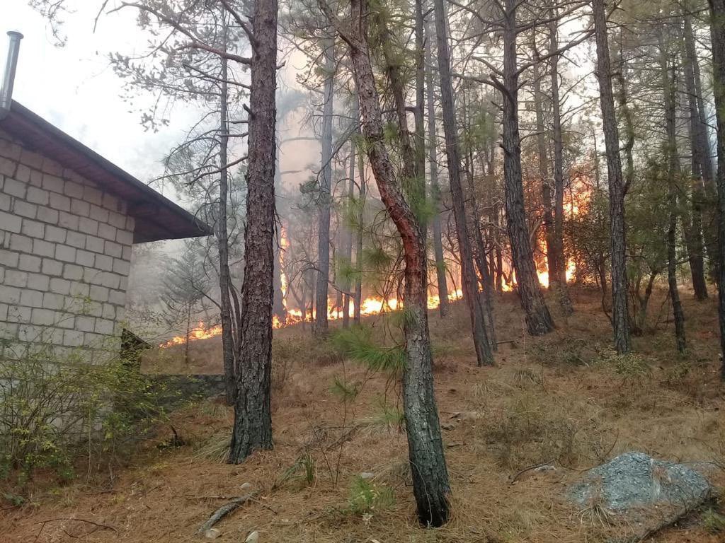 Fuerte incendio consume sierra de Arteaga en Coahuila
