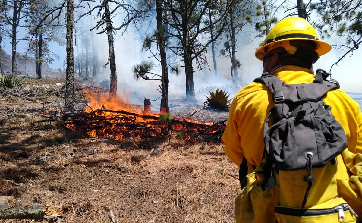 Por incendios, desalojan a 800 personas en sierra de Santiago, NL