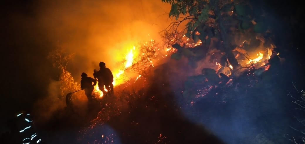 Reporta PC 479 incendios forestales en 33 municipios