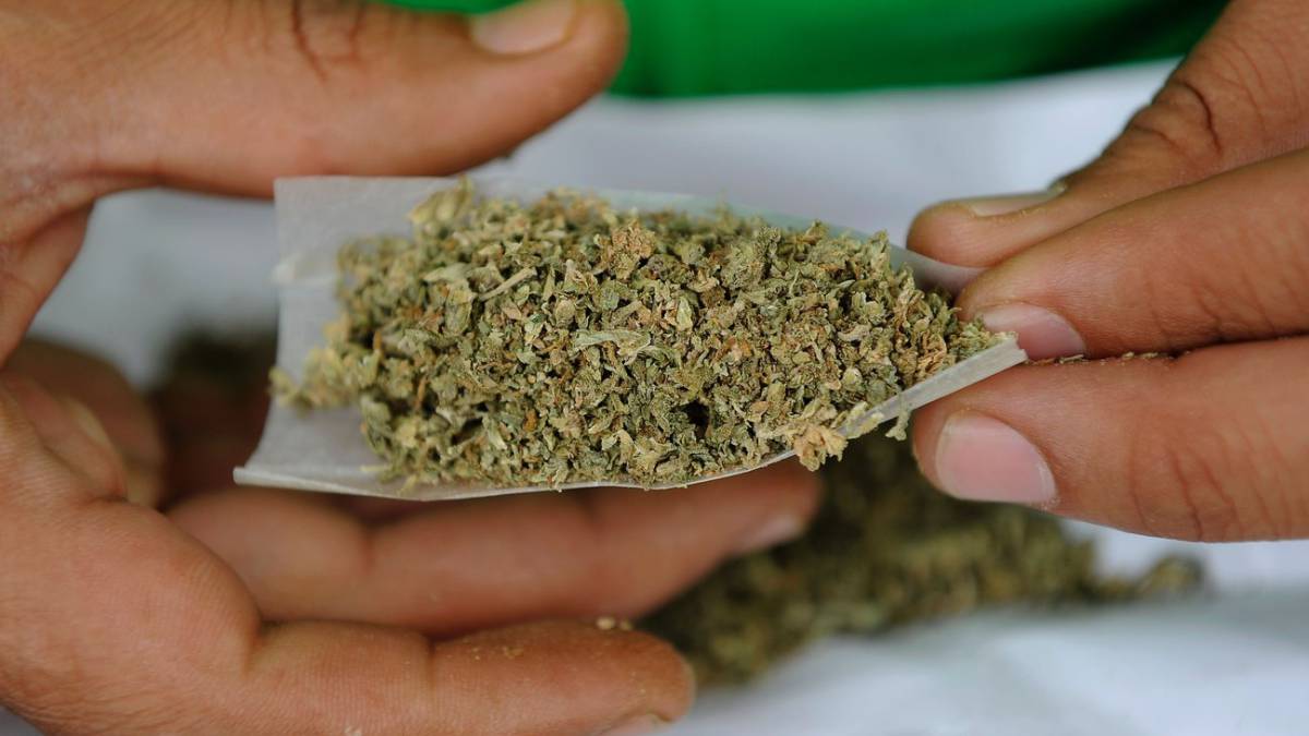 Habrá dispensarios o tienditas para venta de marihuana en México