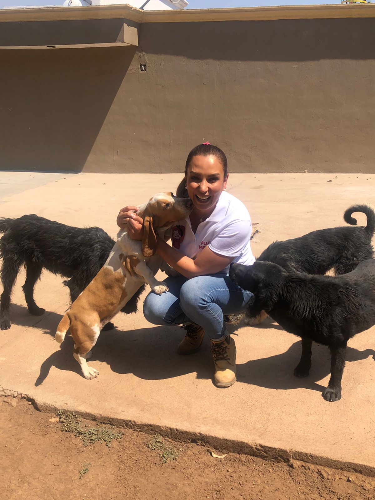Va Lupita Flores por el rescate de centros caninos y felinos
