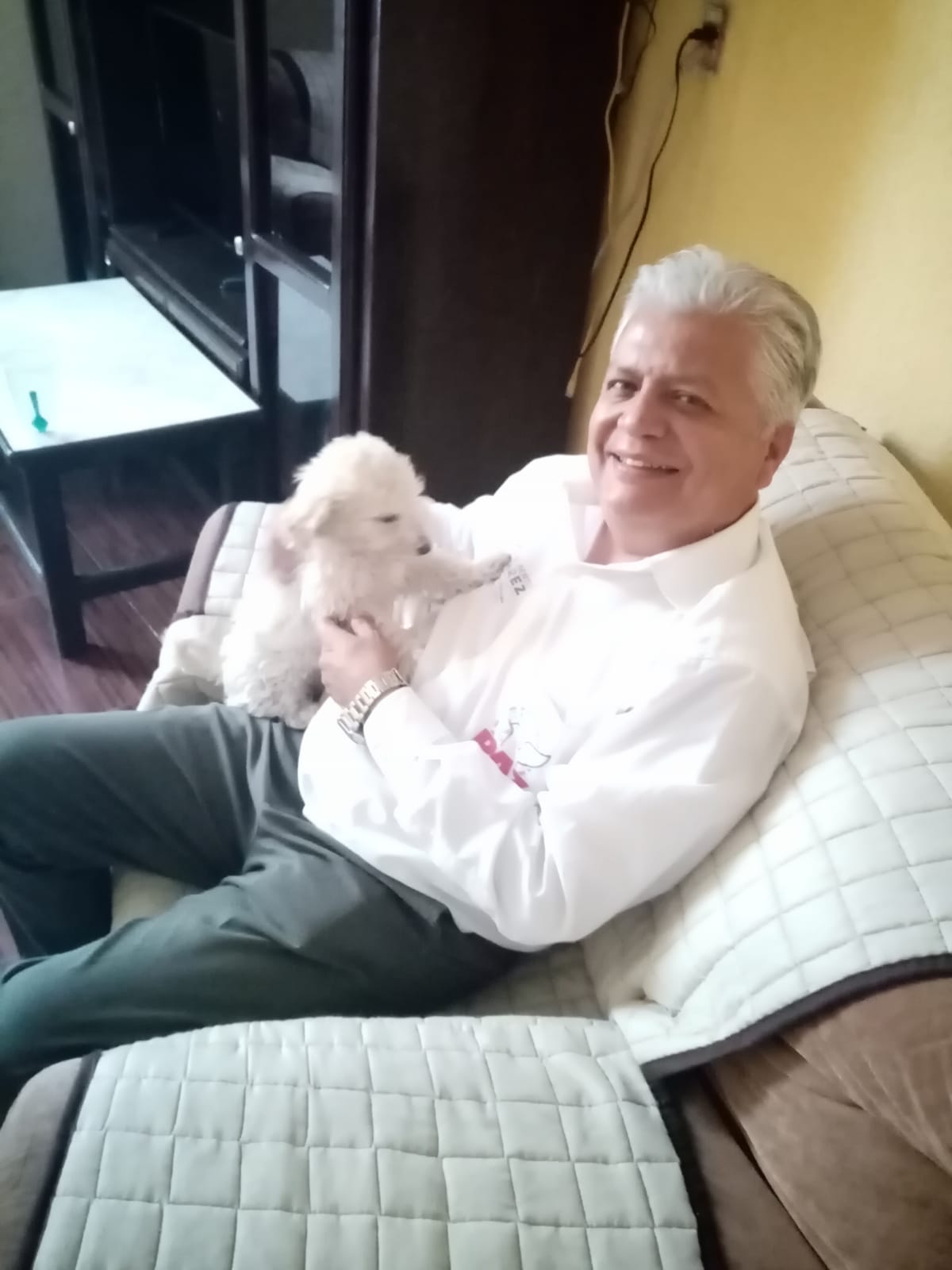 Implementará Gilberto Álvarez acciones para proteger a animales de la calle