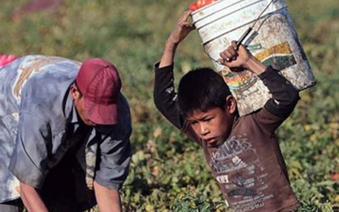 Trabajo infantil aumenta por primera vez en 2 décadas