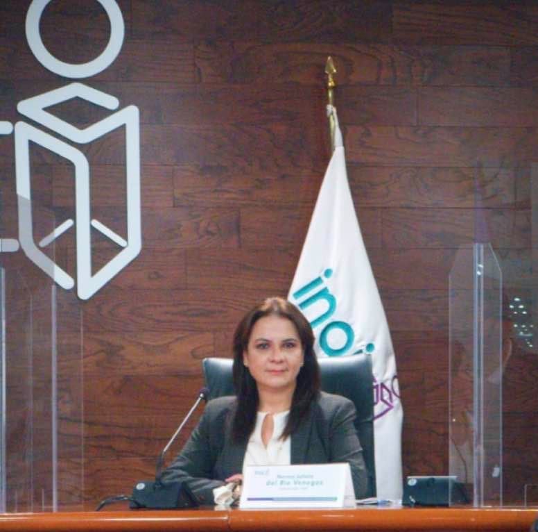 Promoveremos la participación ciudadana en Ayuntamientos: Julieta del Río