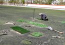 Reemplazan pasto sintético en cancha de la Unidad Deportiva de Jerez