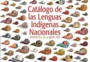 Urge revitalizar lenguas indígenas en Tlaxcala