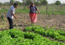 Buscan incrementar apoyo de pequeños productores del campo