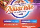 Alistan el  Segundo Festival del Aguachile Guadalupe 2024