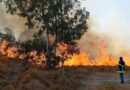84 incendios forestales azotan el país, alerta CONAFOR