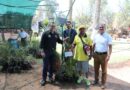 Estudiantes de 15 escuelas de Zacatecas y Guadalupe plantarán 500 árboles