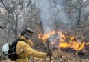 Controlados, incendios forestales en Teúl de González Ortega, Monte Escobedo y Valparaíso