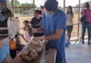 Realizan Jornada de esterilización canina y felina en Juan Aldama, Cañitas, Río Grande y Guadalupe