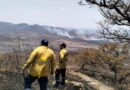 Logran extinguir incendios forestales de Teúl y Monte Escobedo