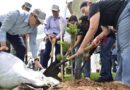 Conmemoran Día Mundial del Árbol