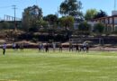 Deportes, aliados para la salud física y mental