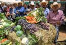 Llevan apoyos a agricultores y ganaderos de la región sureste