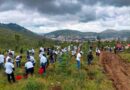 Con jornada de reforestación concluye programa “Bosque, respiro por ti”