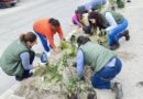 Incorporan jardín polinizador en Fresnillo