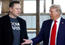 Trump nombra a Elon Musk jefe del Departamento de Eficiencia Gubernamental