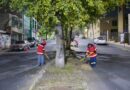 Supervisan servicios públicos en la Avenida México