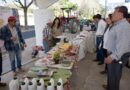 Instalan pabellón expo agrícola y ganadera en Guadalupe