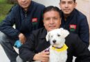 Ser dueños responsables de mascotas es fomentar el bienestar en los animales