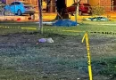 Asesinan a integrante de colectivo Guerreros Buscadores de Jalisco y a su hijo