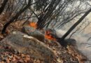 Atienden incendios forestales en Moyahua, Apozol y Monte Escobedo