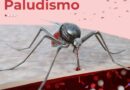 Emiten recomendaciones para prevenir el Paludismo