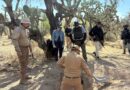 Realizan búsqueda forense en Villa de Cos