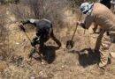 Realizan búsqueda forense en Bañón, Villa de Cos