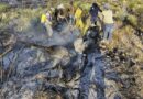 Sofocan incendio en Efigenia, Villa de Cos