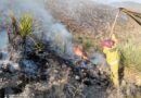 Continúan trabajos de control de incendios forestales en Tlaltenango y Villa de Cos