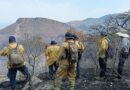 Sofocan incendio forestal en Tlaltenango