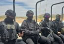 Presume EU colaboración en decomiso de droga en Sinaloa; Sheinbaum rechaza su participación