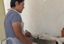 Realizarán campaña gratuita de esterilización de mascotas en tres municipios