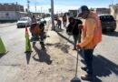 Reparan luminarias y dan mantenimiento a camellones en Guadalupe