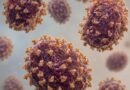 Salud activa vigilancia en México tras alerta internacional por hantavirus