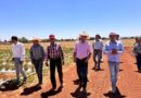 Supervisan aplicación de implementos agrícolas en La Cocinera, Guadalupe