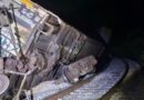 Descarrila tren de carga del Tren Interoceánico en Oaxaca; no reportan personas lesionadas