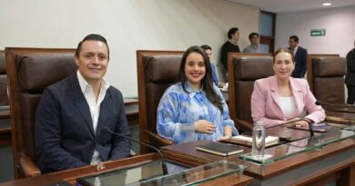 PVEM se deslinda de Lyndiana Bugarín, Georgia Miranda y José Luis González