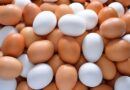 Precio del huevo alcanza su mayor aumento en dos décadas