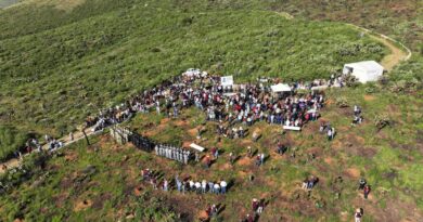 Zacatecas se suma a la Jornada Nacional de Reforestación con la plantación de 285 árboles