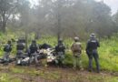 Desmantelan campamento en Chalchihuites; aseguran vehículo, cartuchos y presunta droga.