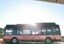 Modernizan transporte público de Zacatecas; arriban primeras unidades del Platabús